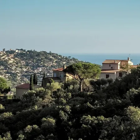 Provencal In With Pool * Bormes-les-Mimosas