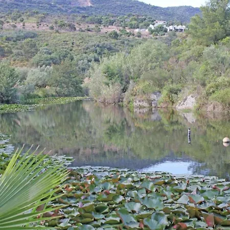 Provencal In With Pool