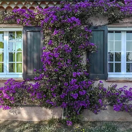 Provencal In With Pool Hébergement de vacances